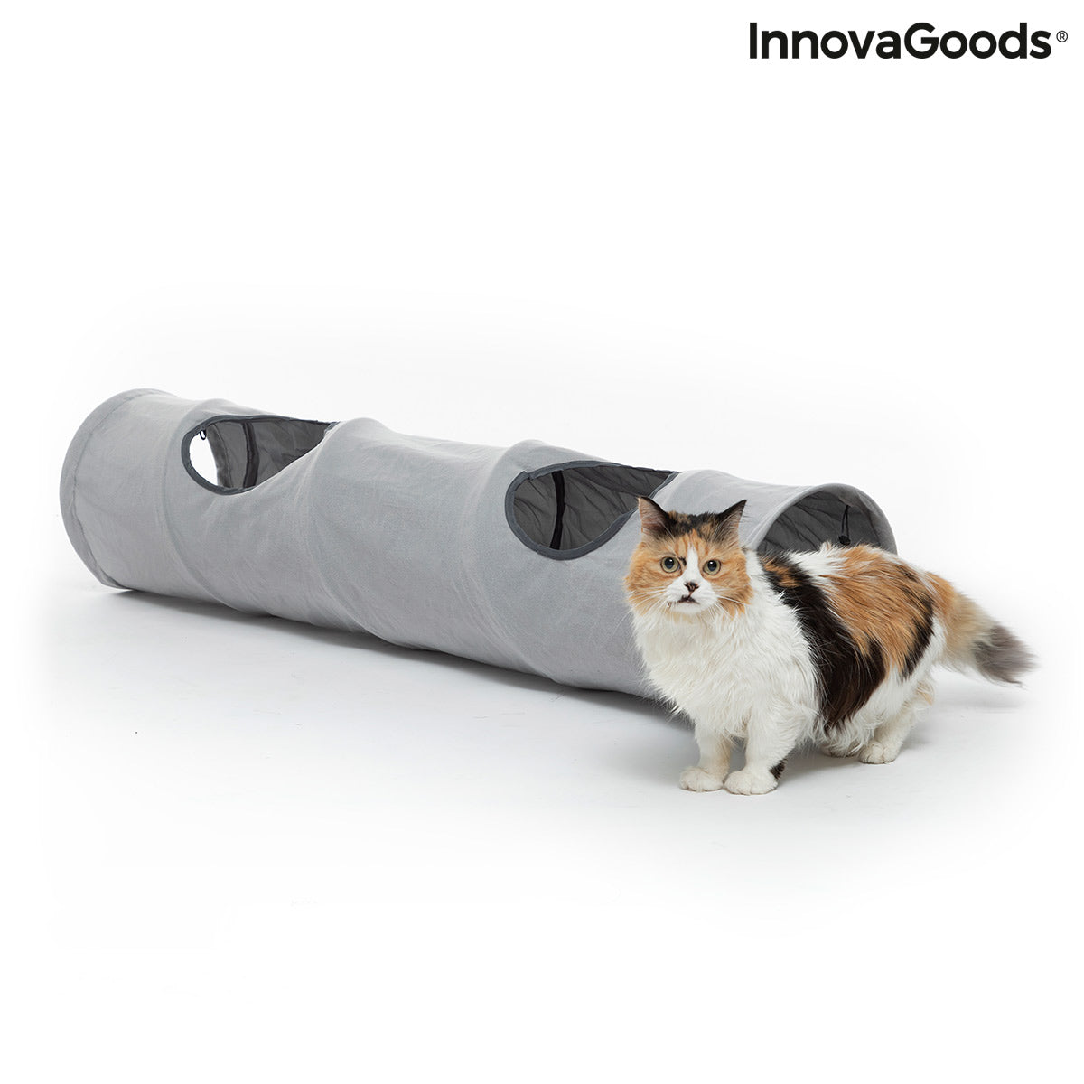 Tunnel de Jeu Pliable pour Animaux de Compagnie
