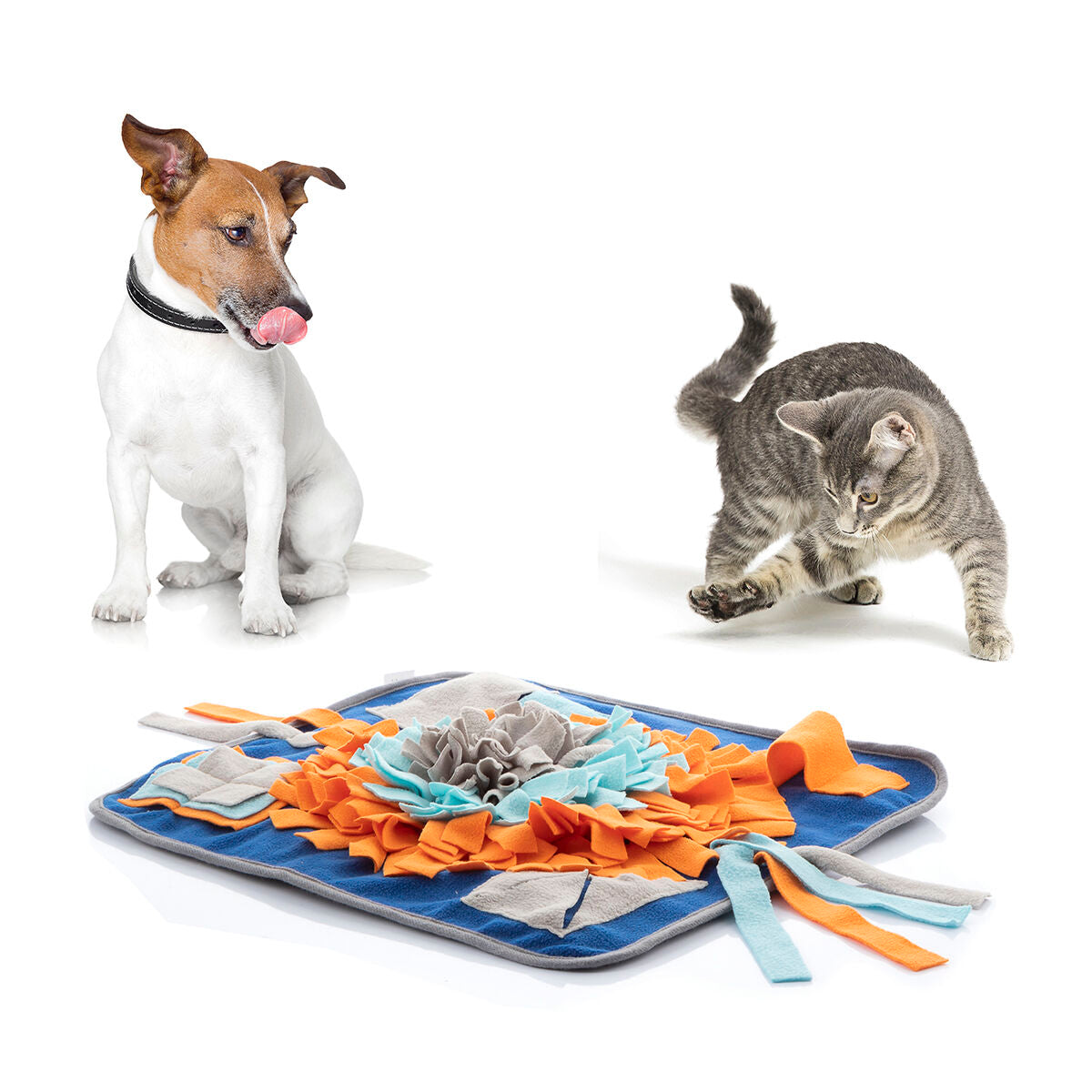 Tapis Olfactif pour Chien