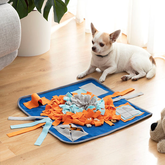 Tapis Olfactif pour Chien